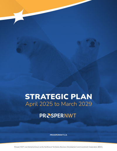 PLAN STRATÉGIQUE - Avril 2025 à mars 2029